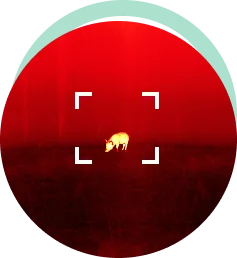 Instant Detection of Deer & Hogs